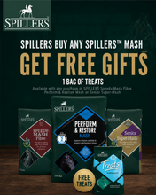 Load image into Gallery viewer, Spillers Perform & Restore Mash 20kg