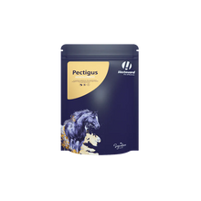 Load image into Gallery viewer, Hestevard Pectigus