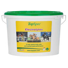 Load image into Gallery viewer, TopSpec Electrolytes