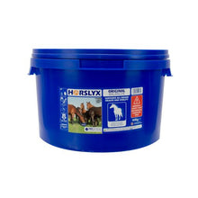 Load image into Gallery viewer, Horslyx Original