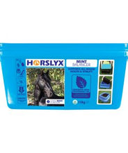 Load image into Gallery viewer, Horslyx Mint