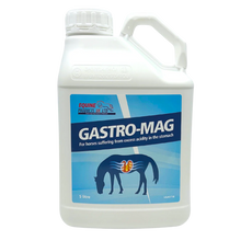 Load image into Gallery viewer, Equine Products UK Gastro Mag
