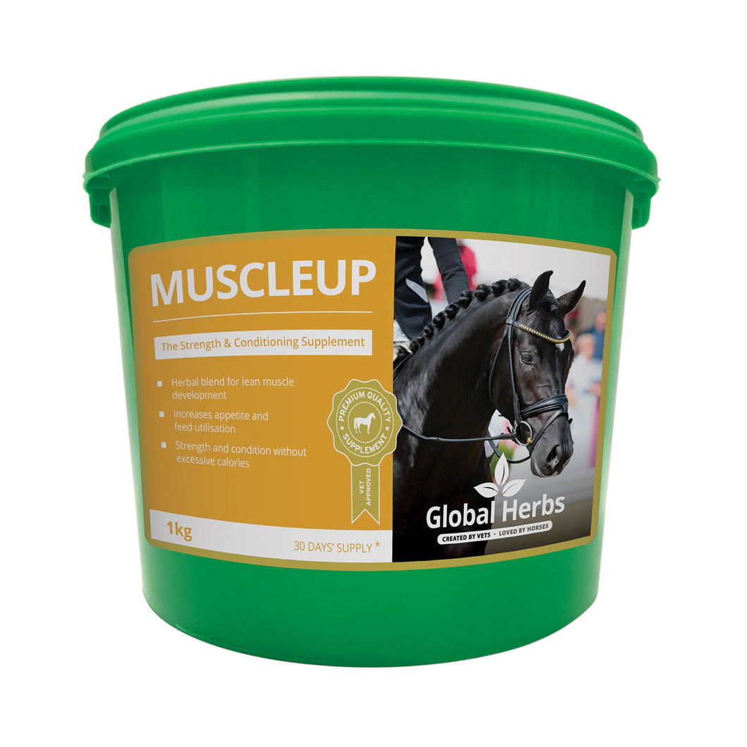 Global Herbs Muscleup 1kg