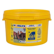 Load image into Gallery viewer, Horslyx Garlic
