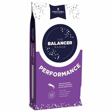 Dodson & Horrell Performance Balancer 15Kg