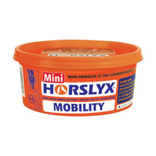 Load image into Gallery viewer, Horslyx Minilick 650g  (Available in 6 Flavours)
