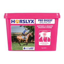 Load image into Gallery viewer, Horslyx Pro Digest
