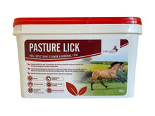 Load image into Gallery viewer, Saracen Pasture Lick

